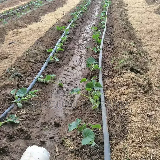 Irrigation Pipes