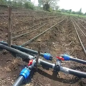 Drip Irrigation Installation