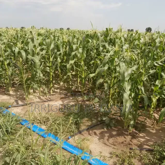 Agricultural Drip