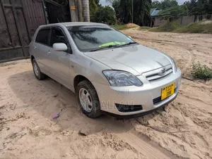 Toyota Corolla RunX 1.8 S FWD 2007 Silver
