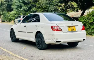 Toyota Mark X 2007 White