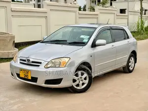 Toyota Corolla RunX 1.5 X FWD 2005 Silver