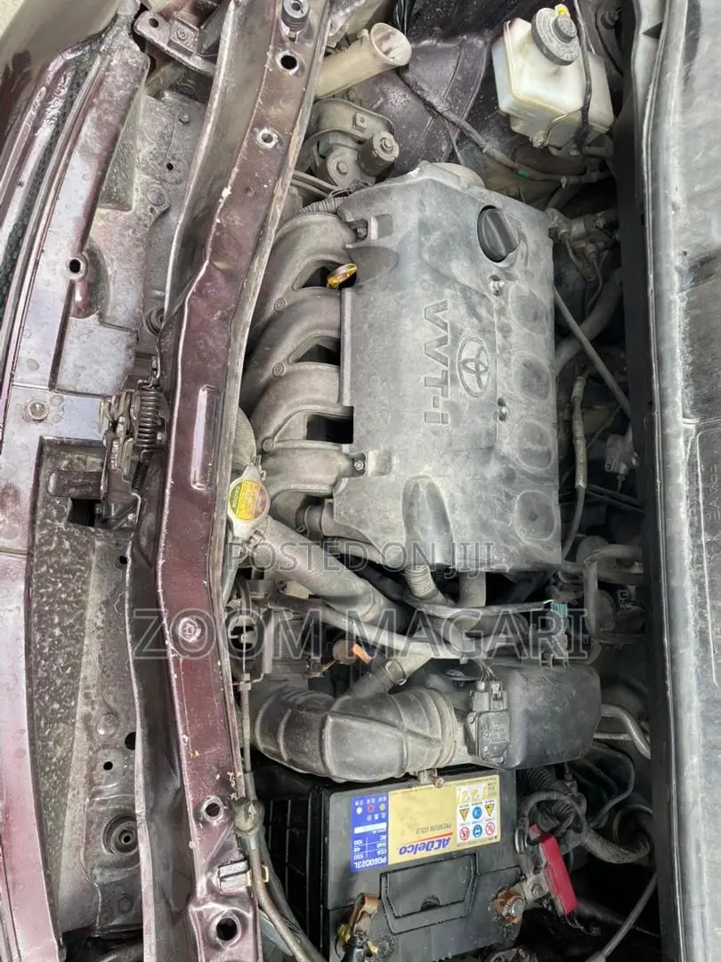 Toyota Porte 2005 Maroon