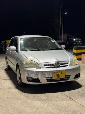 Toyota Allex 2005 Silver