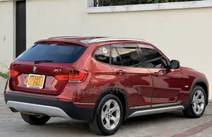 BMW X1 2010 Maroon