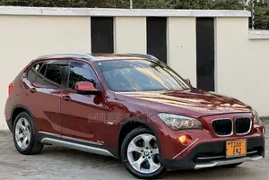 BMW X1 2010 Maroon