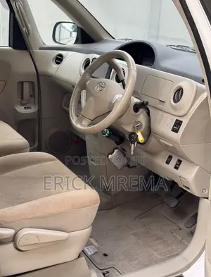 Toyota Porte 2008 White