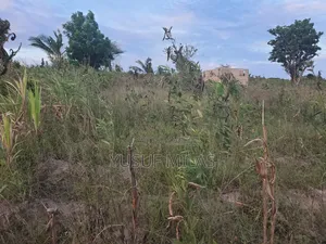 Kiwanja Kinauzwa Million 3 Kibaha Misugusugu Saeni