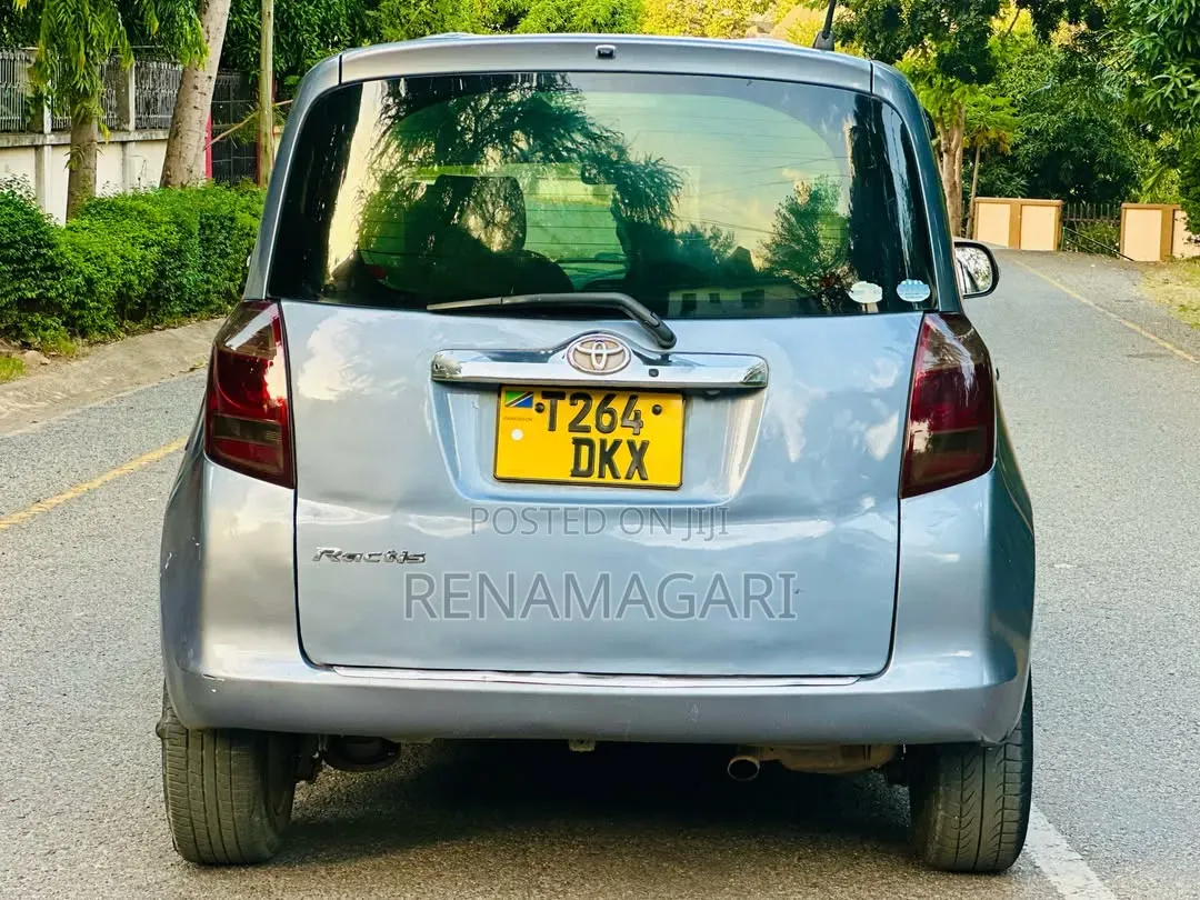Toyota Ractis 2007 Gray