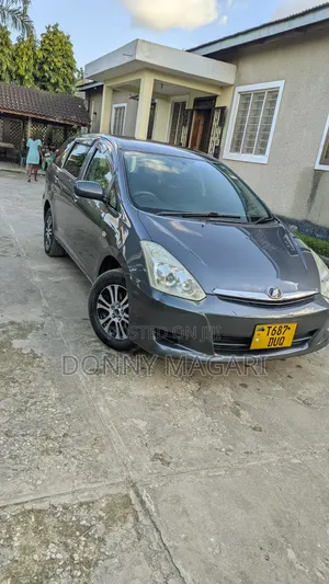 Toyota Wish 2007 Gray
