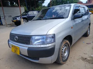 Toyota Probox 2010 Silver