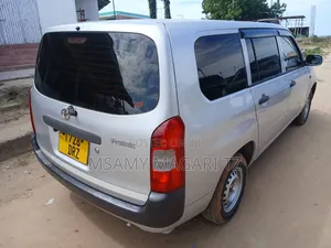 Toyota Probox 2010 Silver