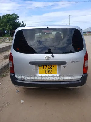 Toyota Probox 2010 Silver