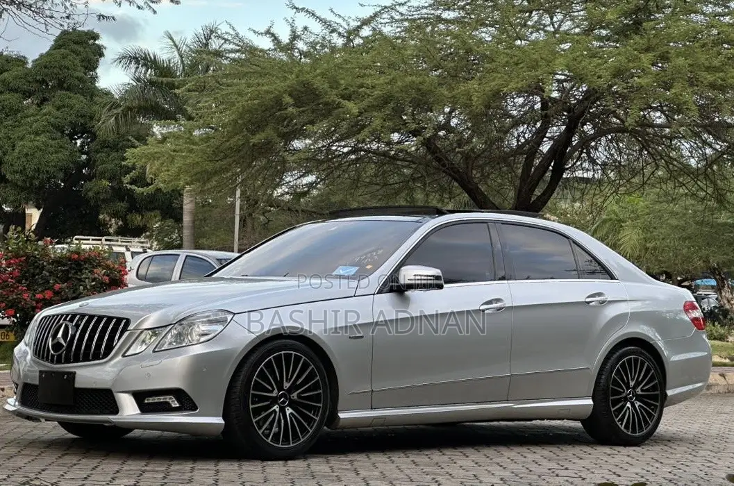 Mercedes-Benz E250 2011 Silver