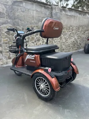 New Motorcycle 2025 Brown