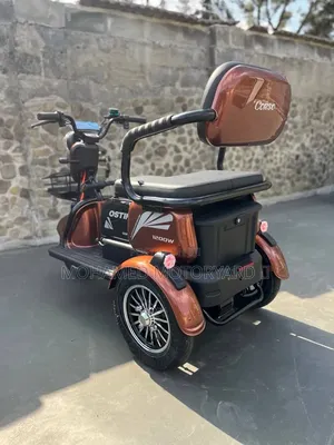 New Motorcycle 2025 Brown