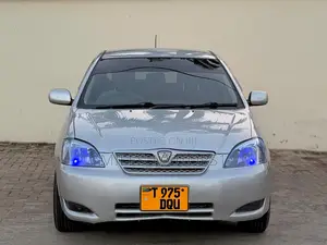 Toyota Allex 2005 Silver