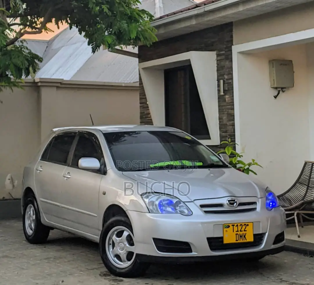 Toyota Corolla RunX 2004 Silver