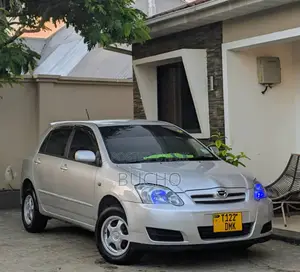 Toyota Corolla RunX 2004 Silver