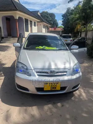 Toyota Corolla RunX 2004 Silver
