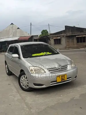 Toyota Allex 2004 Silver