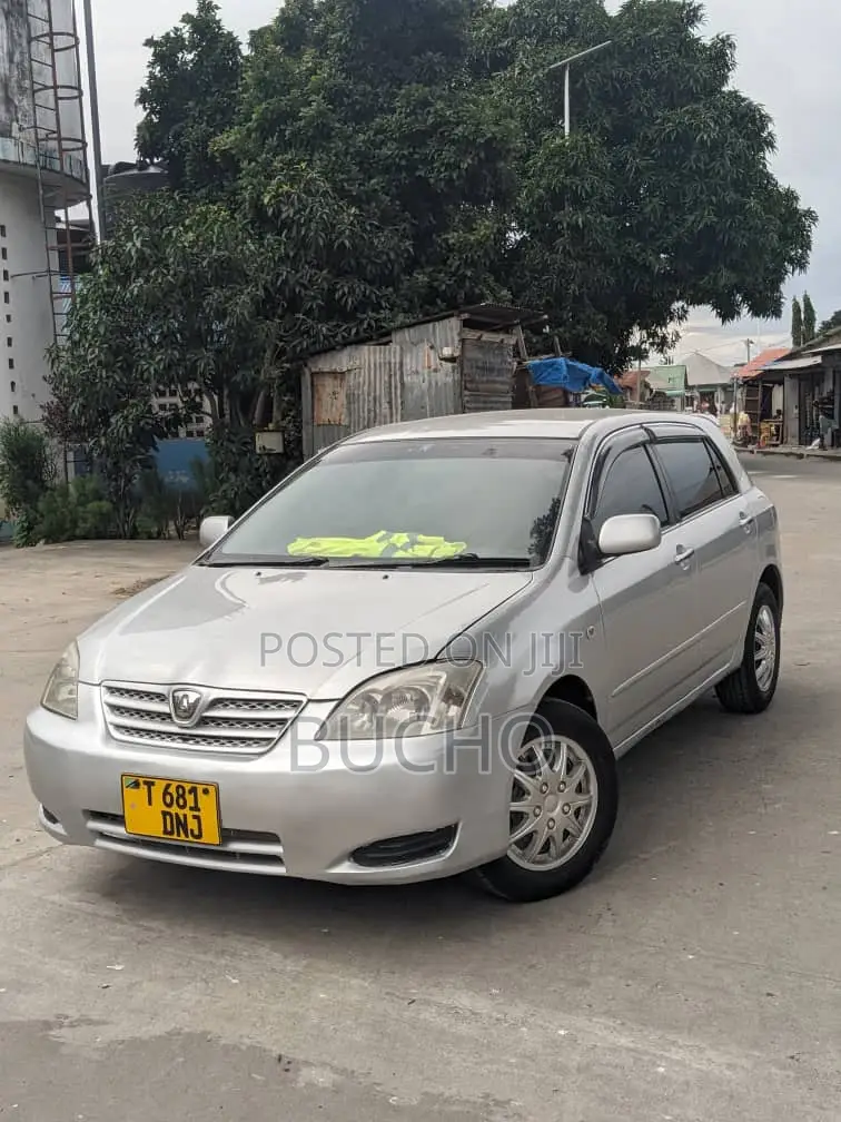 Toyota Allex 2004 Silver