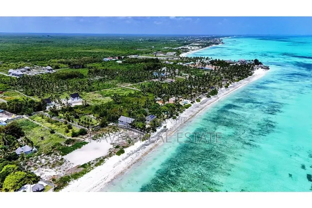 Prime Beach Plot for Sale at Jambiani Zanzibar