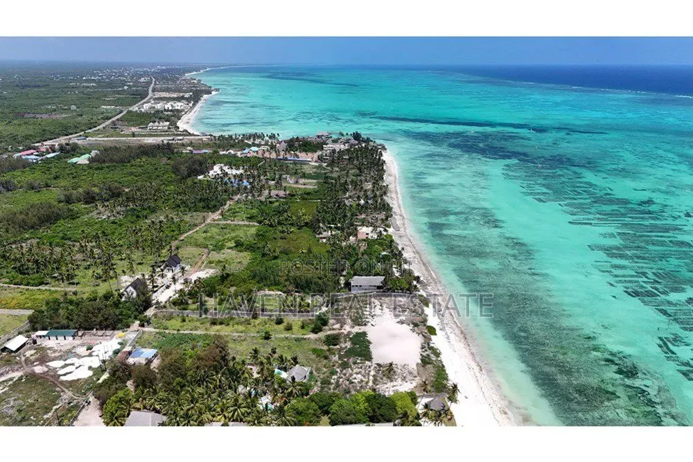 Prime Beach Plot for Sale at Jambiani Zanzibar