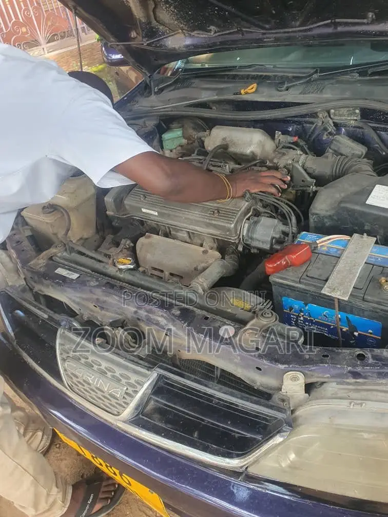 Toyota Porte 2004 Blue