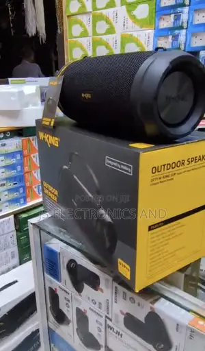 W-King D3 Pro Speaker Quality Sound