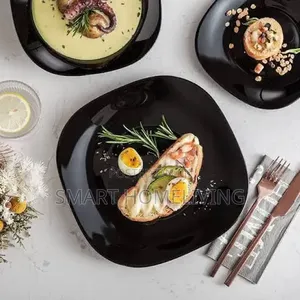 Dinner Plate 6pcs