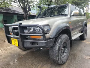Toyota Land Cruiser 1998 Gray