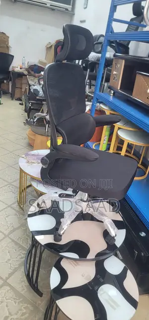 Ergonomic Office Chair
