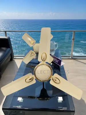 36” Roch Ceilling Fan