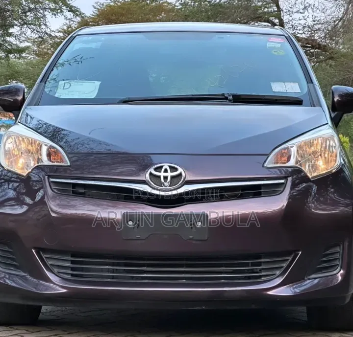 Toyota Ractis 2013 Gray