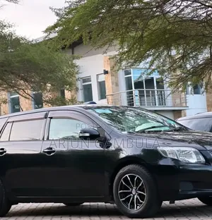 Toyota Corolla Fielder 2008 Black