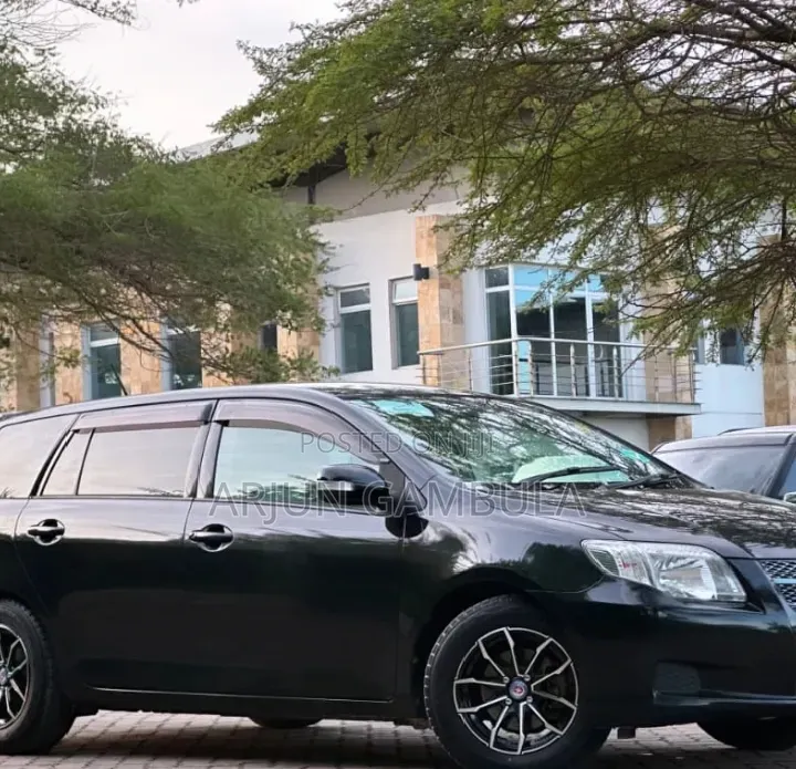 Toyota Corolla Fielder 2008 Black