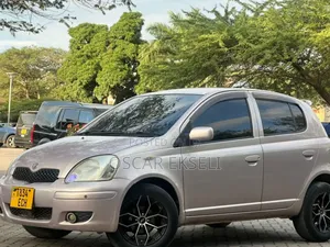 Toyota Vitz 2002 Gray