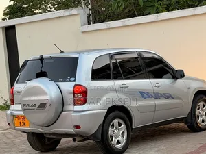 Toyota RAV4 2005 Silver