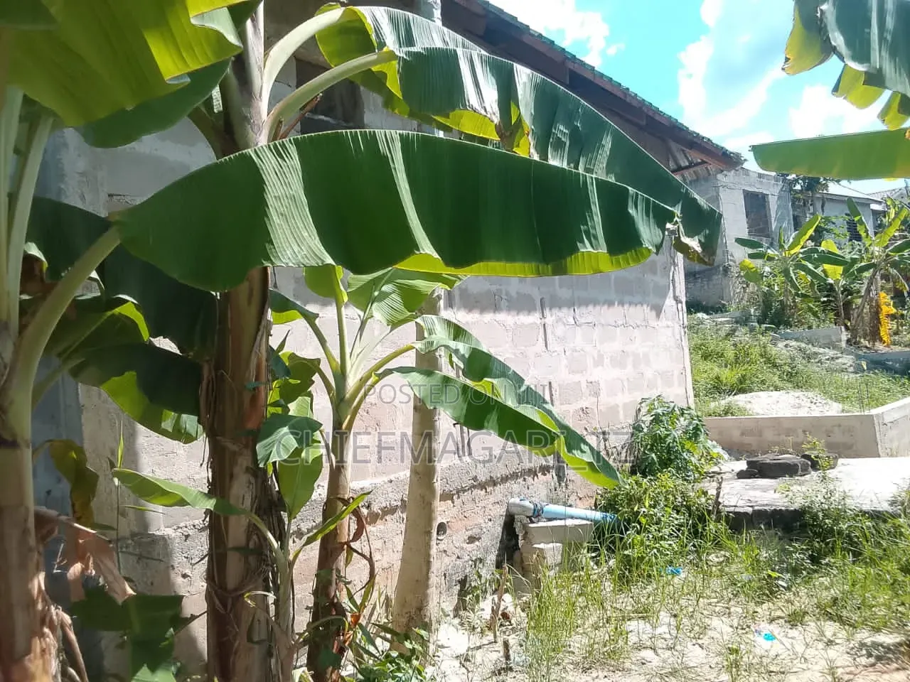 5bdrm House in Kimara for sale