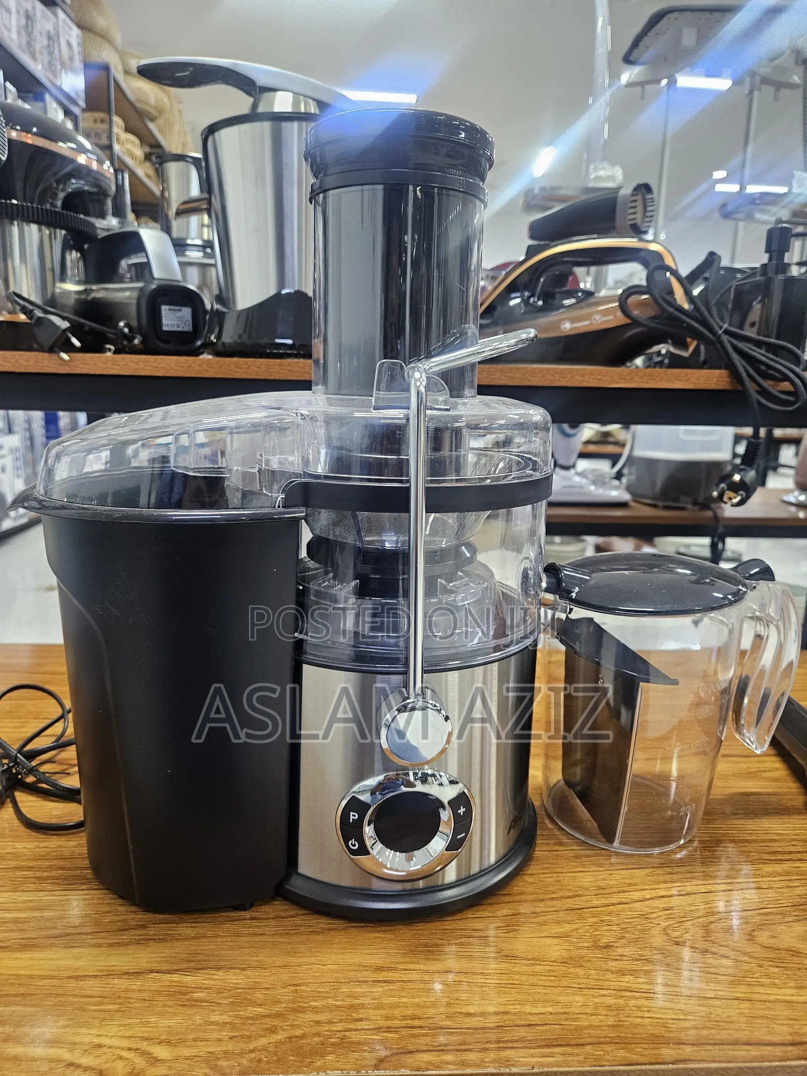 Slow Juicer (Masticating Juicer )