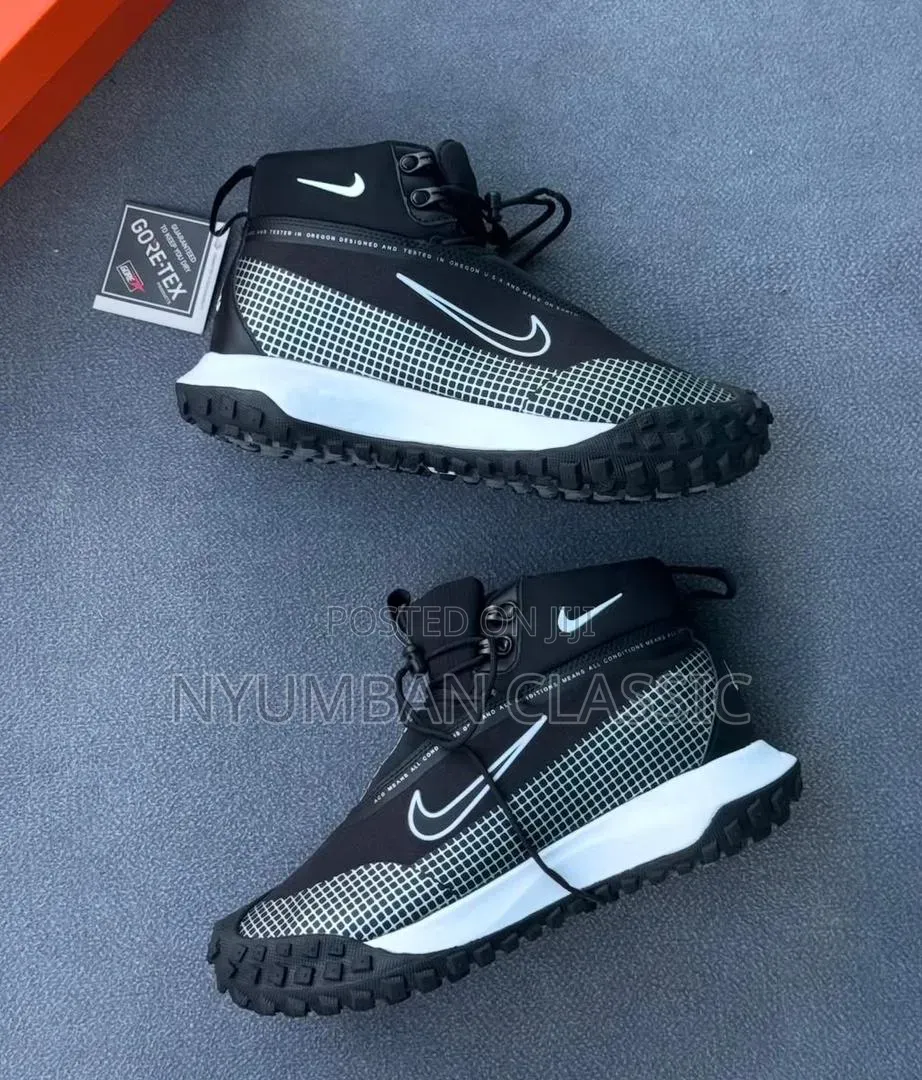 Nike Goretex Shoes