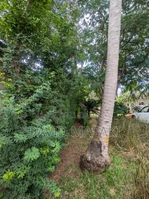 5bdrm Bungalow in Prime Property, Kinondoni for sale