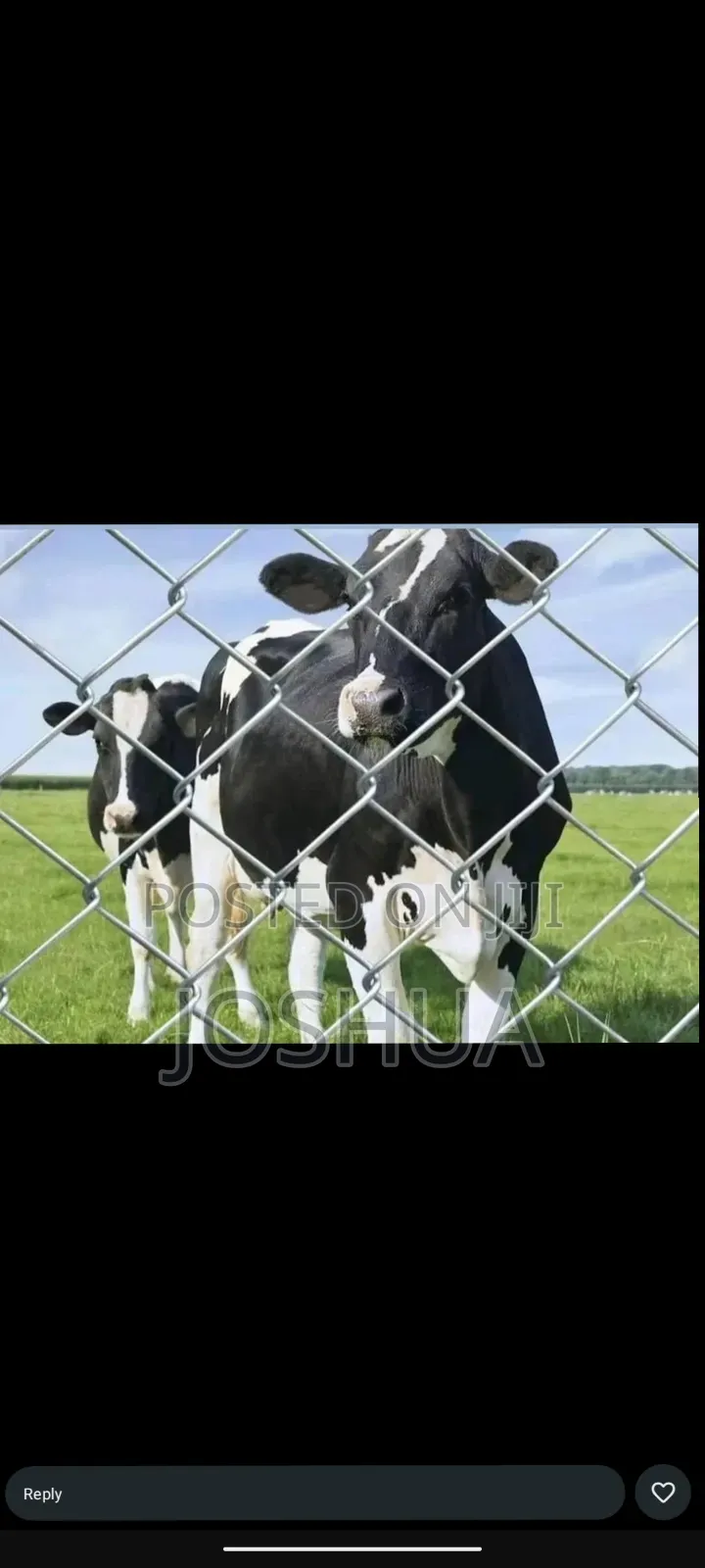 Wasiliana Nami Mr Fence Wire Ujipatie Fence Aina Zote Karibu