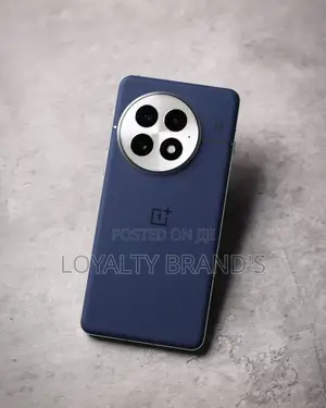 New OnePlus 13 512 GB Blue