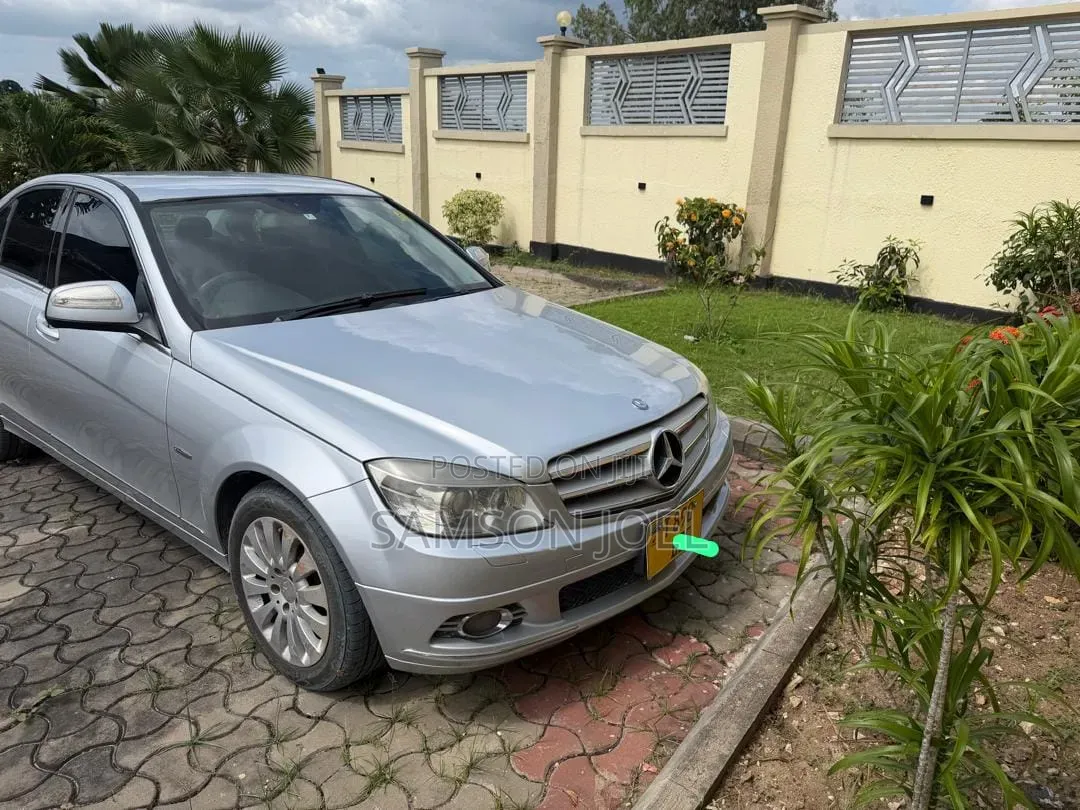 Mercedes-Benz C-Class 2009 Silver
