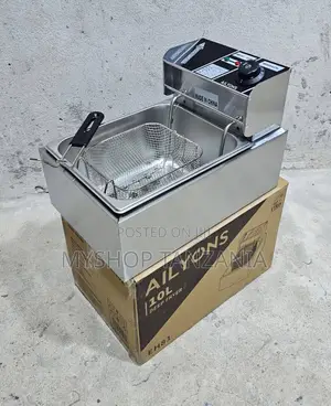 10l Ailyons Deep Fryer