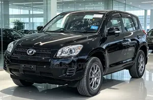Toyota RAV4 2010 Black