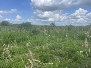 Shamba Linauzwa Kiwangwa Bago Lenye Hati Miliki