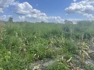 Shamba Linauzwa Kiwangwa Bago Lenye Hati Miliki